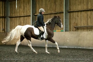 Isis Dressage Crown Farm Show 29th April 2012